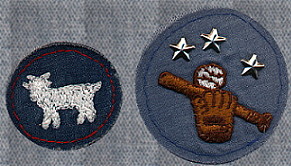 Special for 4-260: Billy Goat Trail emblem; Baseball Under the Stars emblem