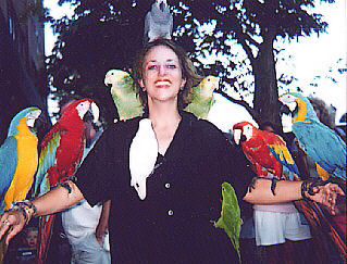 Parrots in Alexandria, August, 1999